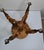 Antique H. Holtzman & Sons Victorian Adjustable Swivel Piano Stool With Glass Ball Claw Feet For Sale - Image 12 of 17