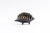 Hedgehog by Walter Bosse for Hertha Baller, 1950s For Sale - Image 16 of 16