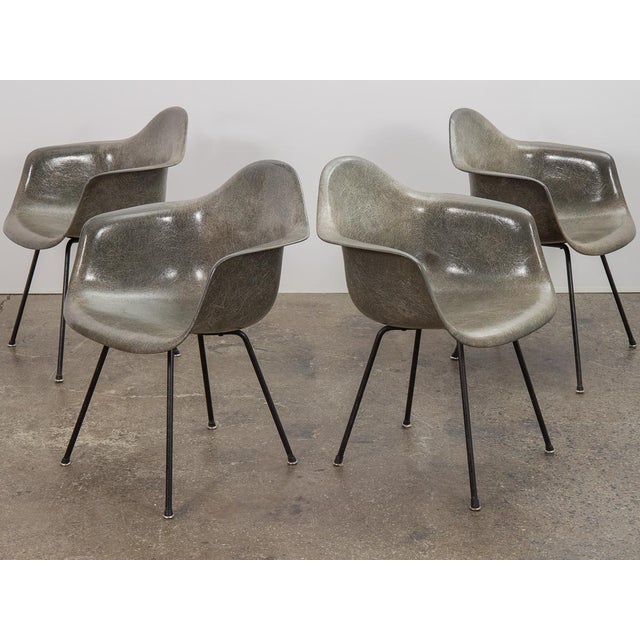 Eames elephant grey discount