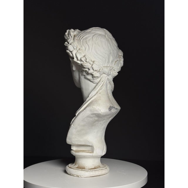 Plaster Bust of Emperor Augustus For Sale - Image 15 of 18