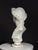 Plaster Bust of Emperor Augustus For Sale - Image 15 of 18