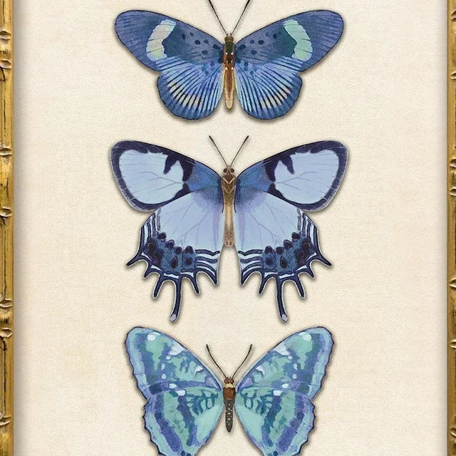 Illustration Reproduction Vintage Blue Butterfly Art Print (2), Framed For Sale - Image 3 of 5