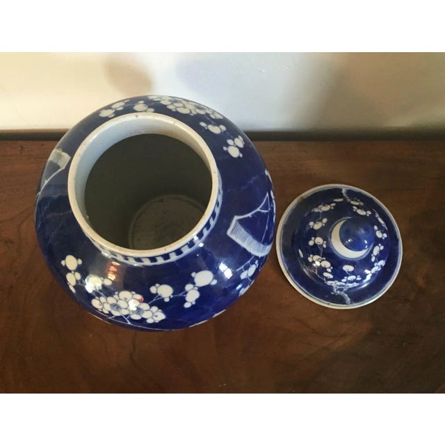 19th Century Chinese Blue & White Porcelain Prunus or Hawthorne Urn For Sale - Image 9 of 11