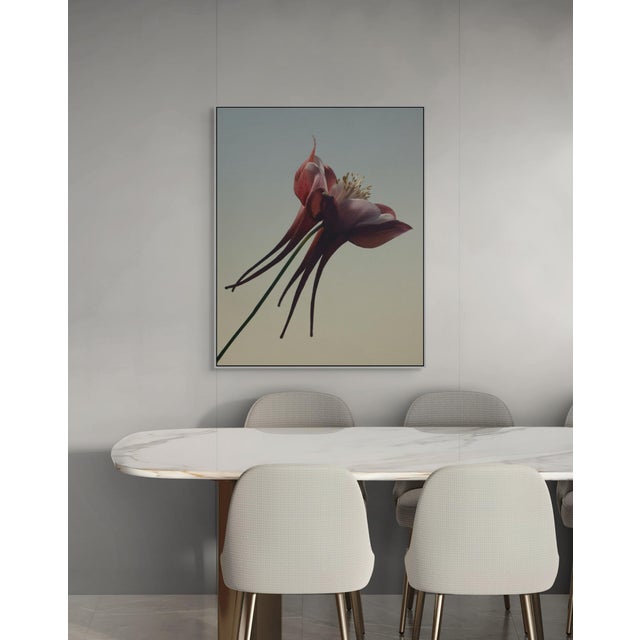 Exclusively available in the U.S. through ART AT HOME, Aquilegia Caerulea is an unframed limited edition fine art...