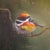 Original Oil Paintings, Songbirds on Gold-Flecked Ground — Set of 3, Signed For Sale - Image 4 of 5