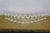 Antique Cut Crystal Stemware Wine Water Goblets Champagne Flutes Cordials - 71 pcs For Sale - Image 11 of 18