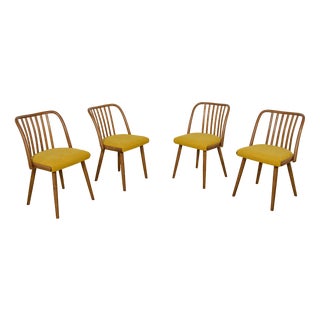 Dining Chairs by Antonín Šuman for Ton, 1960s, Set of 4 For Sale