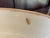 Mid 20th Century Signed Wedgewood Cane Ware Game Pie Tureen or Serving Dish With Cover and Insert For Sale - Image 9 of 16