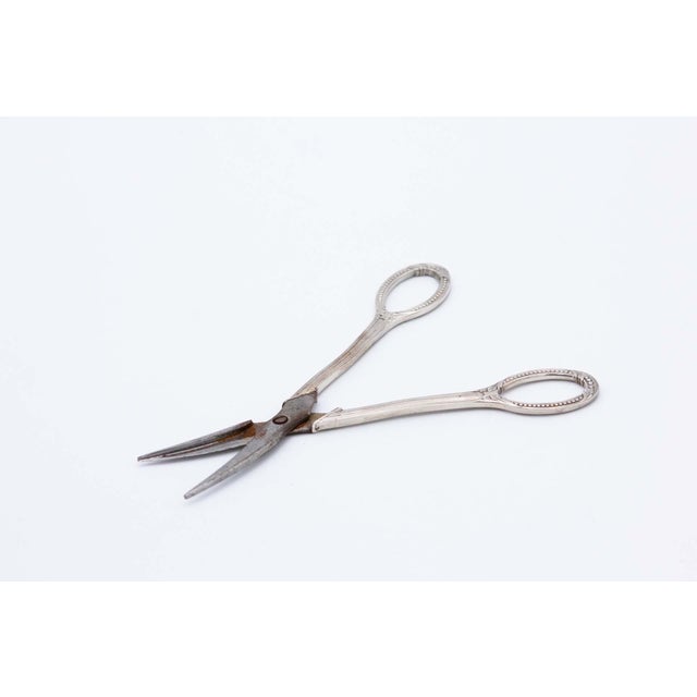 Silver Scissors with Raised Handles For Sale - Image 4 of 4
