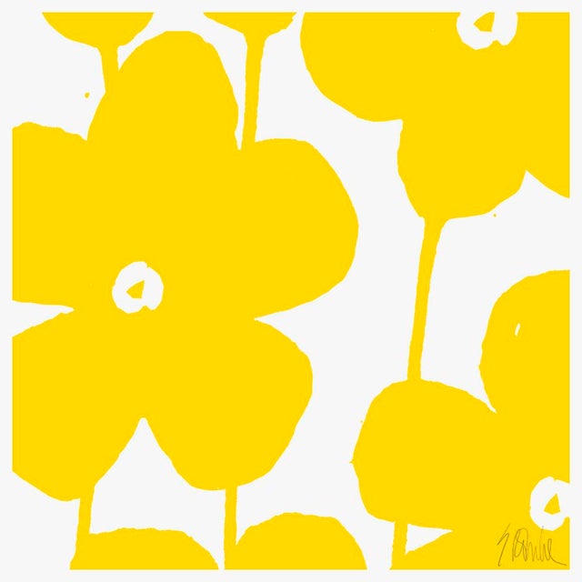 Fabulous Flowers in Yellow, No 2 Fine Art Print 58" X 58" by Liz Roache For Sale In Boston - Image 6 of 6