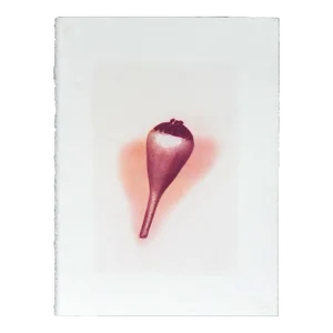 "Botanica II"- Gum Dichromate Print by S. Howard