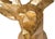 Antler Head Mount by Malabar For Sale - Image 4 of 7