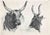The Bulls in the Roman Countryside is an original etching artwork realized after Charles Coleman (1807, Yorkshire - 1874,...