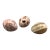 Onyx Eggs - Matrix Fire Opal, Jasper and Butterscotch -Set of 3 For Sale