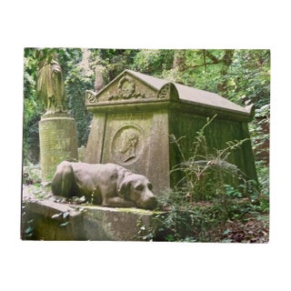 "Faithful Dog, Highgate, London" Contemporary Plein Air Architectural Photograph Print by Louise Weinberg For Sale