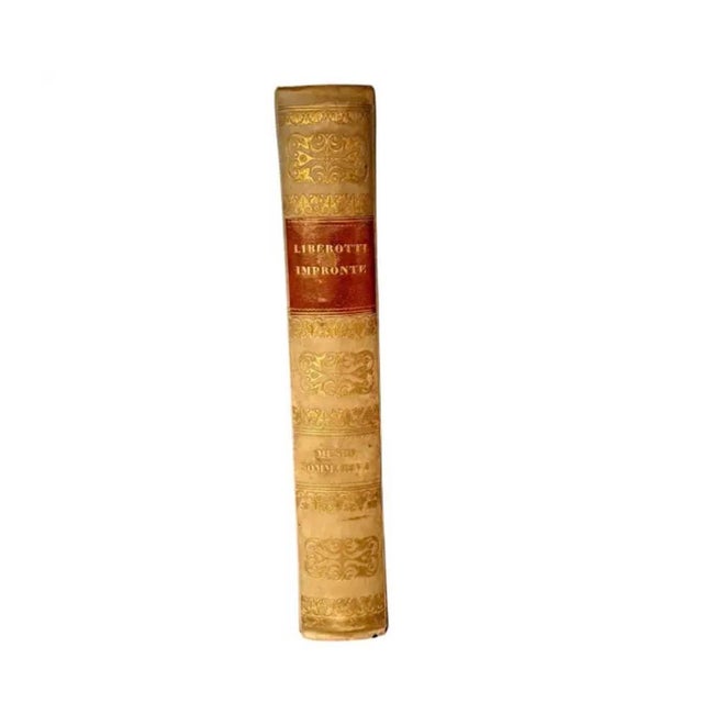 19th Century Italian Grand Tour Book of Plaster Intaglios by Giovanni Liberotti #2 For Sale - Image 5 of 12