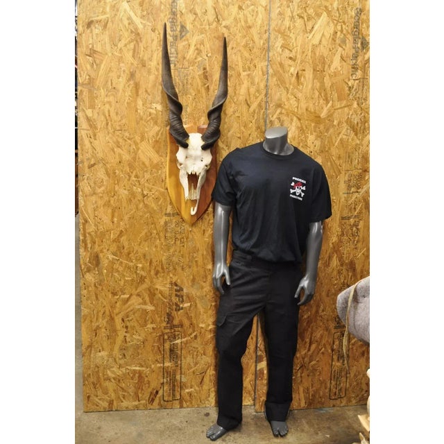 Vintage African Eland Skull Mount with 24" Twisted Horns Taxidermy Cabin Decor. Circa Late 20th Century. Measurements...