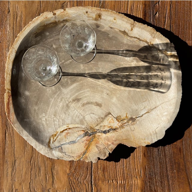 Large Beige Petrified Wood Storage Tray or Dish For Sale - Image 14 of 18