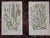 Printmaking Materials Antique 19th Century Botanical Lithographs - Set of 12 For Sale - Image 7 of 9