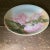 Stunning Bavarian charger featuring a fine painting of hand painted cabbage roses in delicate hues of pink and green....