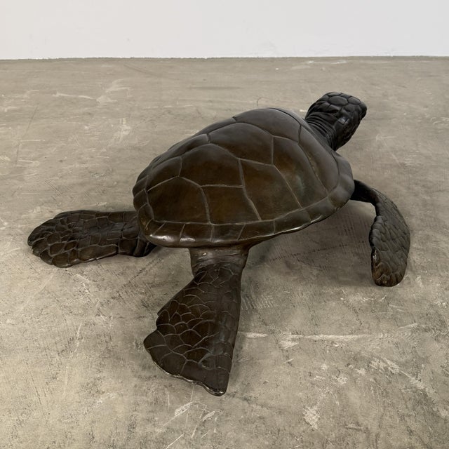Large Bronze Sea Turtle Sculpture – 26” L For Sale - Image 9 of 14