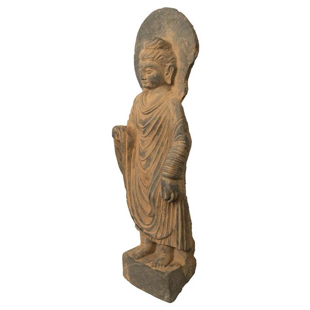 Ancient Indian Carved Stone Gandharan Shakyamuni Buddha Statue 2nd Century a.d. For Sale - Image 4 of 12