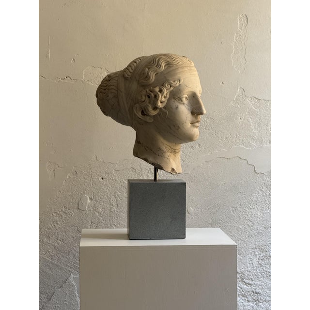Italian Artist, Head of a Young Woman Sculpture, 1800s, Marble For Sale - Image 14 of 14