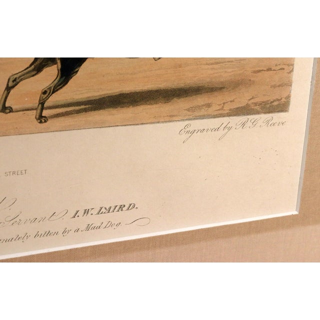 Large Aquatint of the Celebrated Trotting Stallion Artaxerxes After Francis Calcraft Turner For Sale - Image 9 of 9