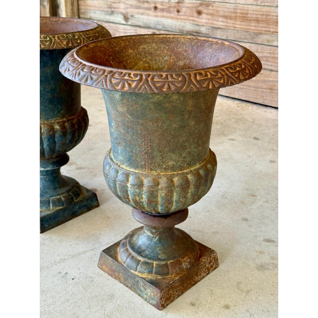 Early 20th Century French Cast Iron Medici Urn Planters – Pair For Sale - Image 4 of 12
