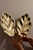 Mid-Century Swedish Brass Sconces by Firma Lars Holmström, 1950s, Set of 2 For Sale - Image 4 of 8