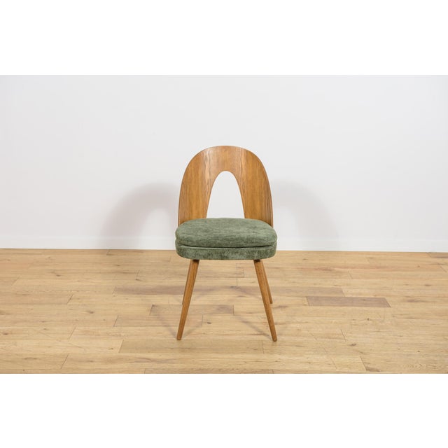 Mid-Century Modern Ash Veneer Dining Chairs by Antonín Šuman for Mier Topoľčany, Czechoslovakia, 1960s, Set of 4 For Sale - Image 9 of 18