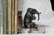 Elephant Bookends, 1930s, Set of 2 For Sale - Image 6 of 18