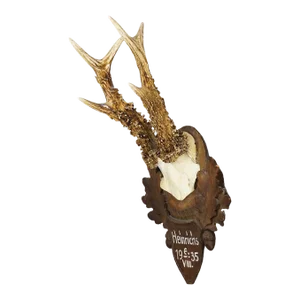 Great Deer Trophy Mount on Wooden Carved Plaque 1935