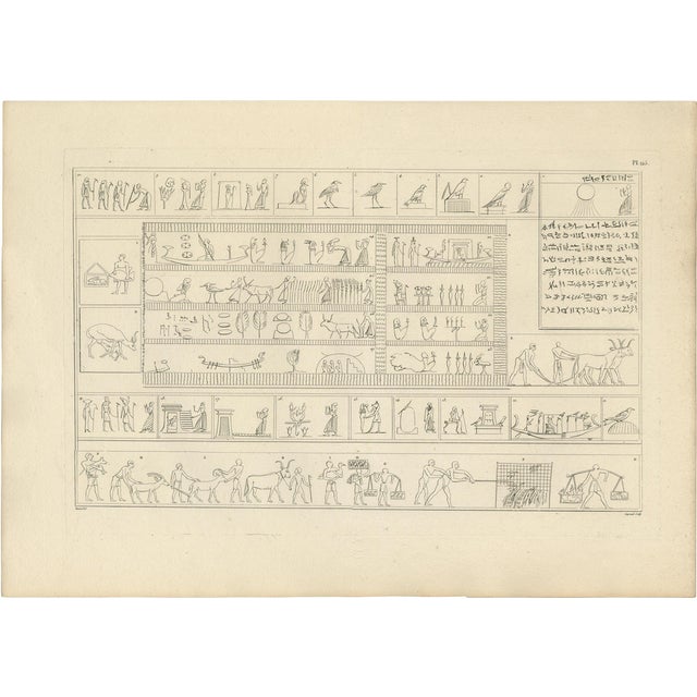 Egyptian Processions and Daily Life Reliefs, 1802, Paper For Sale