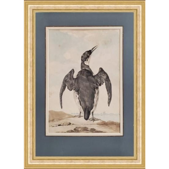 Paint 18th Century Watercolors of Birds by Abraham Van Meertens (1747-1823) - Set of 4 For Sale - Image 7 of 7