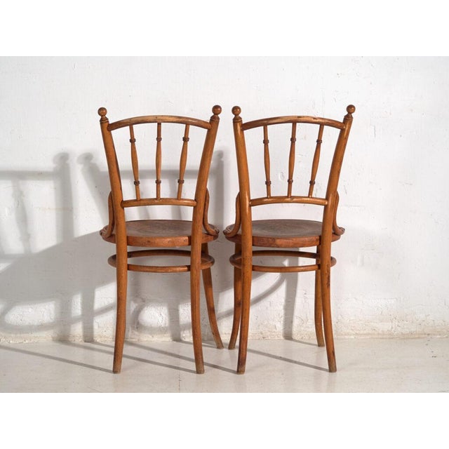 Antique Bentwood Chairs, Central Europe, 1900s, Set of 2 For Sale - Image 5 of 11