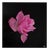 Richa Dave, Blooming, 2010s, Acrylic Painting For Sale