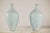 Light Grey Celadon-Glazed Porcelain Vases with Fine Crackle Pattern - A Pair For Sale In New York - Image 6 of 12