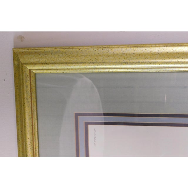 1980s Redouté "iris Fimbriata Iris Frangée" Art Print on Paper Framed For Sale - Image 5 of 13