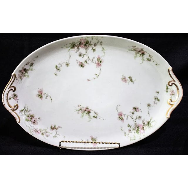 Charles Fields Haviland Limoges China Schleiger377 Pattern