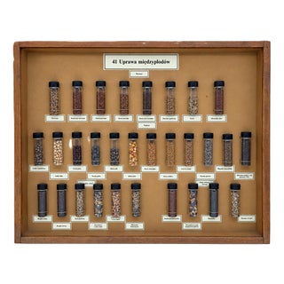 Vintage Polish Educational Display Case, 1970s For Sale