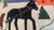 1910s Antique Textile Handmade Folk Art C1910 Americana C1910 Provinance For Sale - Image 5 of 14