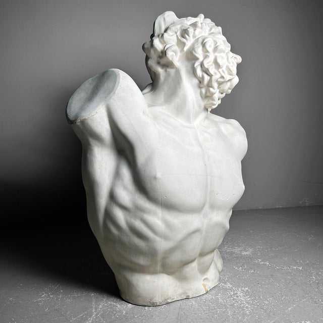 1960s Plaster Bust of Laocoön, 1960s For Sale - Image 5 of 18