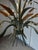 Epis de Blé Pendant Chandelier by Maison Masca, circa 1970 For Sale - Image 17 of 18