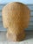 Mid-Century Modern Early 20th Century Woven Willow and Rattan Hooded Settee For Sale - Image 3 of 9