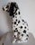 1990s Vintage MCM Japanese Andrea by Sadek Dalmation Figurine For Sale - Image 5 of 6