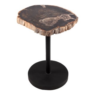 Living Edge Petrified Wood Top W Black Metal Stand Accent Table or Side Table 62 For Sale