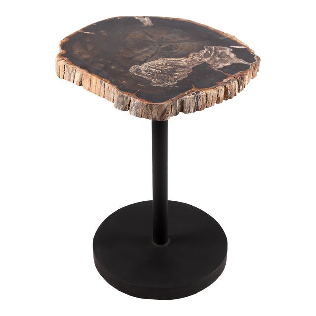 Living Edge Petrified Wood Top W Black Metal Stand Accent Table or Side Table 62 For Sale
