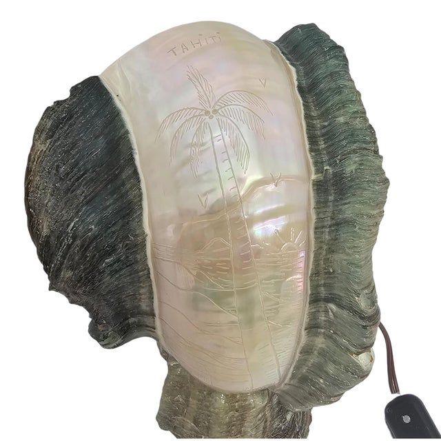 1970s Tahitian Turbo Marmoratus Mother-of-Pearl Shell Mood Lamp For Sale - Image 11 of 16