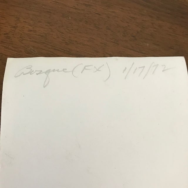 Very unique vintage photograph of birds in flight dated 1/19/72. Paper is slightly thinner than standard photo paper, most...